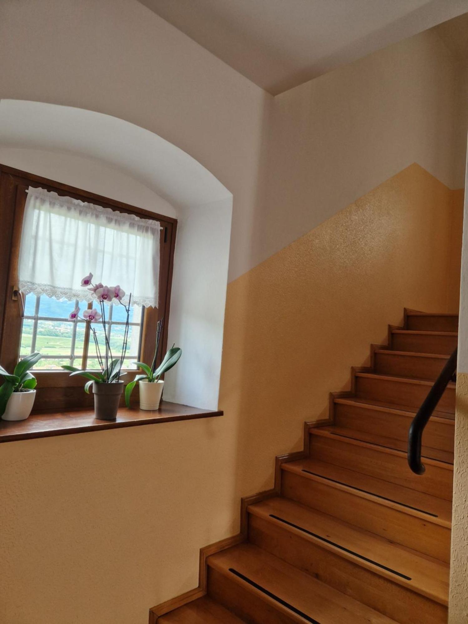 Apartma In Soba Vipavski Kriz Ajdovščina Extérieur photo
